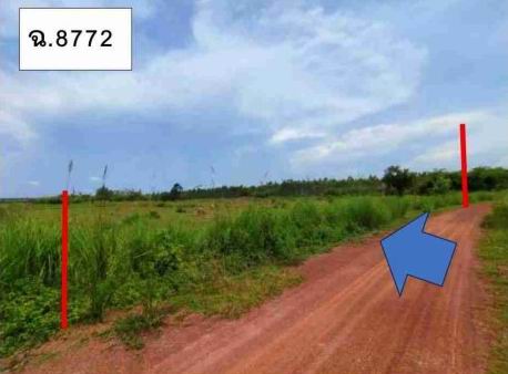 ขายทอดตลาด ที่ดินว่างเปล่า ต.ศรีชมภู อ.พรเจริญ จ.บึงกาฬ