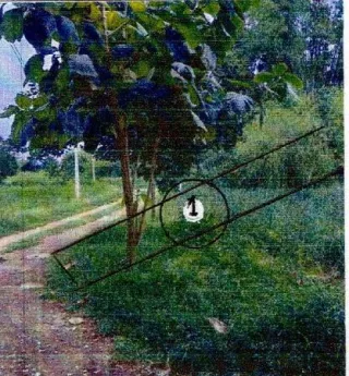 รูปทรัพย์ 2