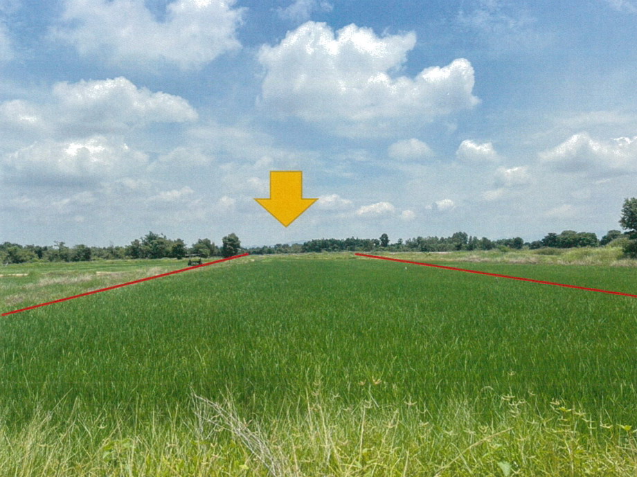 ขายทอดตลาด ที่ดินว่างเปล่า ต.บ้านพริก อ.บ้านนา จ.นครนายก