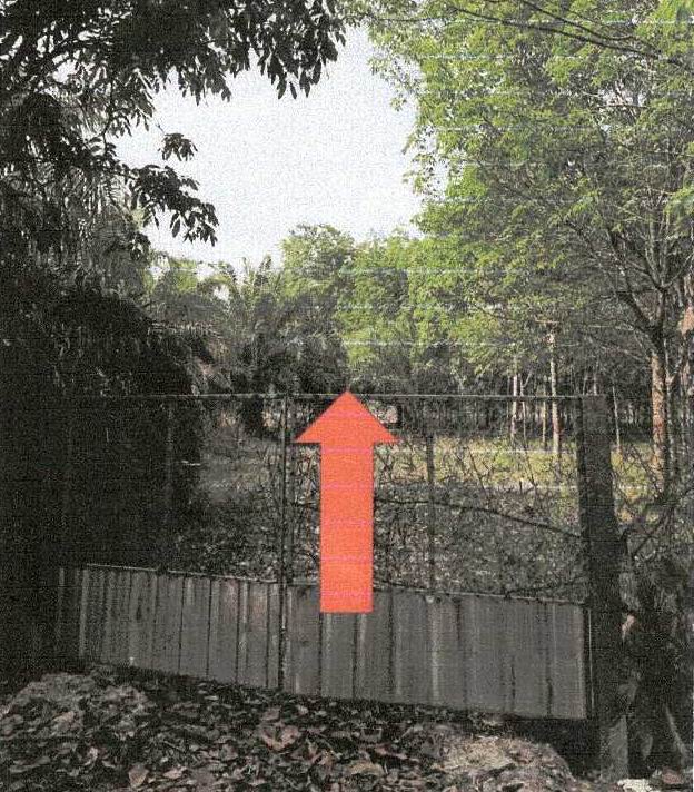ขายทอดตลาด ที่ดินว่างเปล่า ต.เซกา อ.เซกา จ.บึงกาฬ