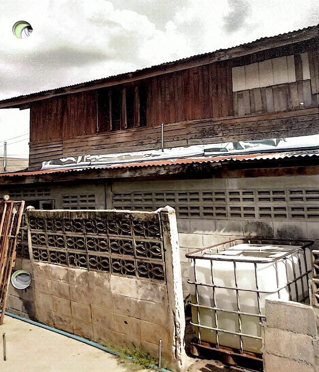 ขายทอดตลาด ที่ดินพร้อมสิ่งปลูกสร้าง ต.หัวทะเล อ.เมืองนครราชสีมา จ.นครราชสีมา