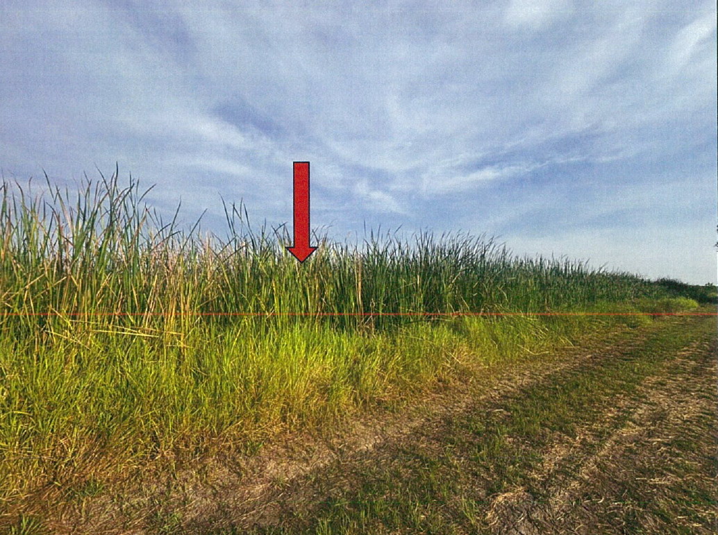 ขายทอดตลาด ที่ดินว่างเปล่า จ.มหาสารคาม