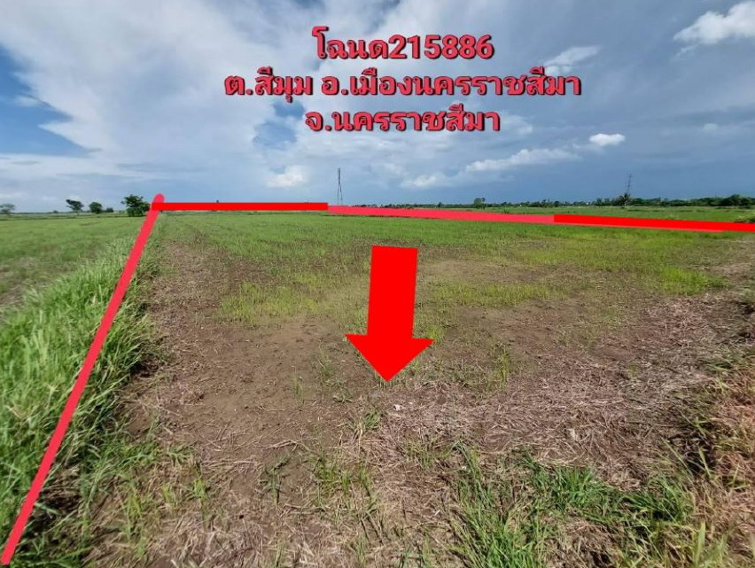 ขายทอดตลาด ที่ดินว่างเปล่า จ.นครราชสีมา