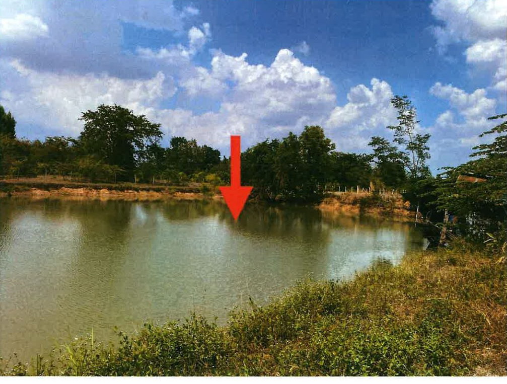 ขายทอดตลาด ที่ดินว่างเปล่า ต.ธงชัยเหนือ อ.ปักธงชัย จ.นครราชสีมา