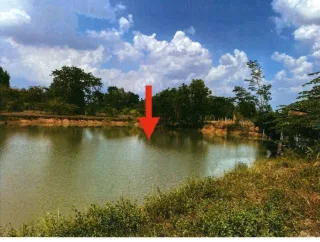 รูปทรัพย์ 1