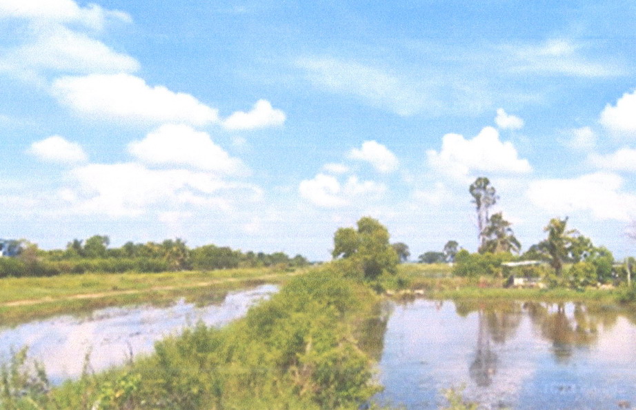 ขายทอดตลาด ที่ดินว่างเปล่า ต.หัวกระบือ อ.องครักษ์ จ.นครนายก