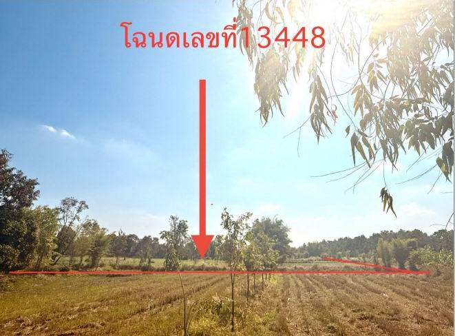 ขายทอดตลาด ที่ดินว่างเปล่า ต.นามน อ.นามน จ.กาฬสินธุ์