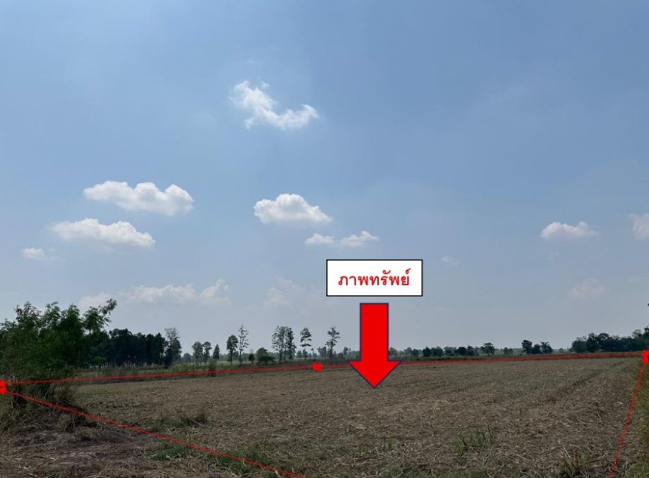 ขายทอดตลาด ที่ดินว่างเปล่า จ.นครราชสีมา