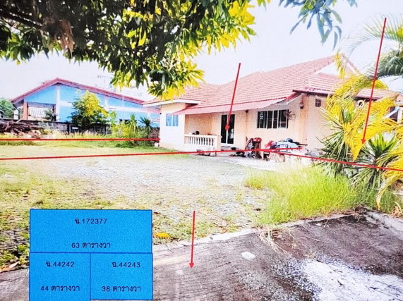 ขายทอดตลาด ที่ดินพร้อมสิ่งปลูกสร้าง ต.บ้านเกาะ อ.เมืองนครราชสีมา จ.นครราชสีมา