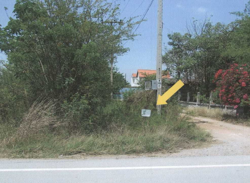 ขายทอดตลาด ที่ดินว่างเปล่า ต.ไทรใหญ่ อ.ไทรน้อย(บางบัวทอง) จ.นนทบุรี