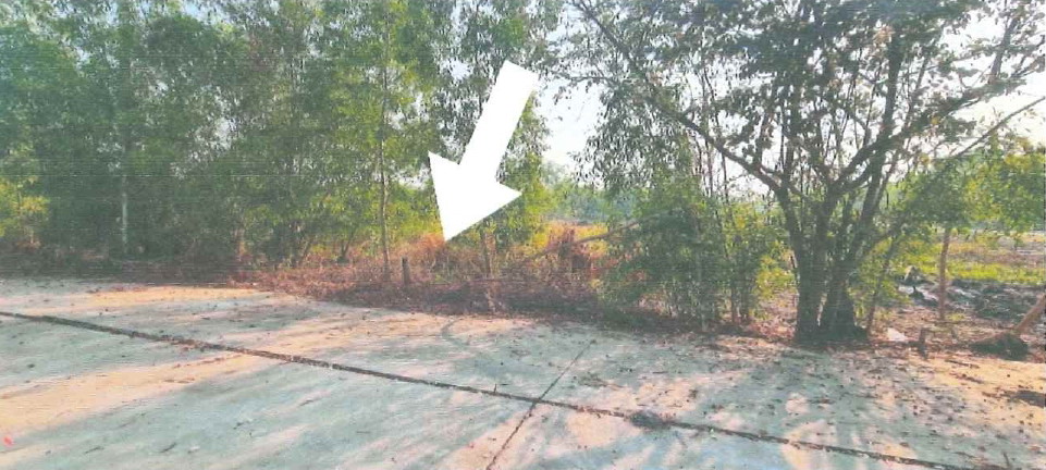 ขายทอดตลาด ที่ดินว่างเปล่า ต.บางสมบูรณ์ อ.องครักษ์ จ.นครนายก