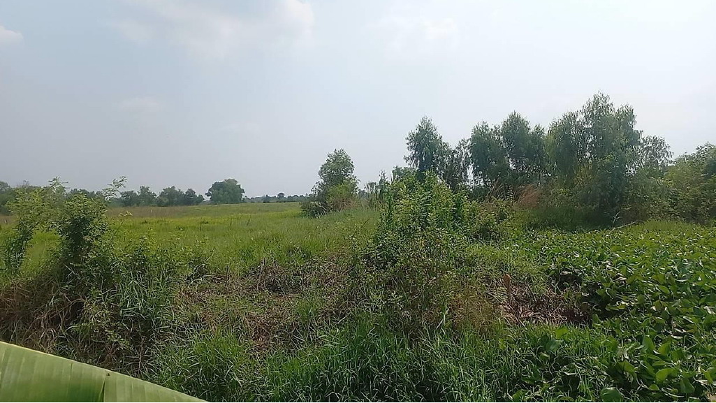 ขายทอดตลาด ที่ดินว่างเปล่า ต.ดงละคร อ.เมืองนครนายก จ.นครนายก
