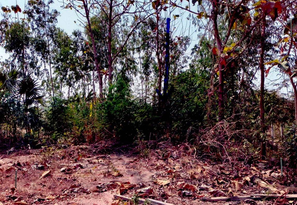 ขายทอดตลาด ที่ดินว่างเปล่า ต.วังหามแห อ.ขาณุวรลักษบุรี จ.กำแพงเพชร