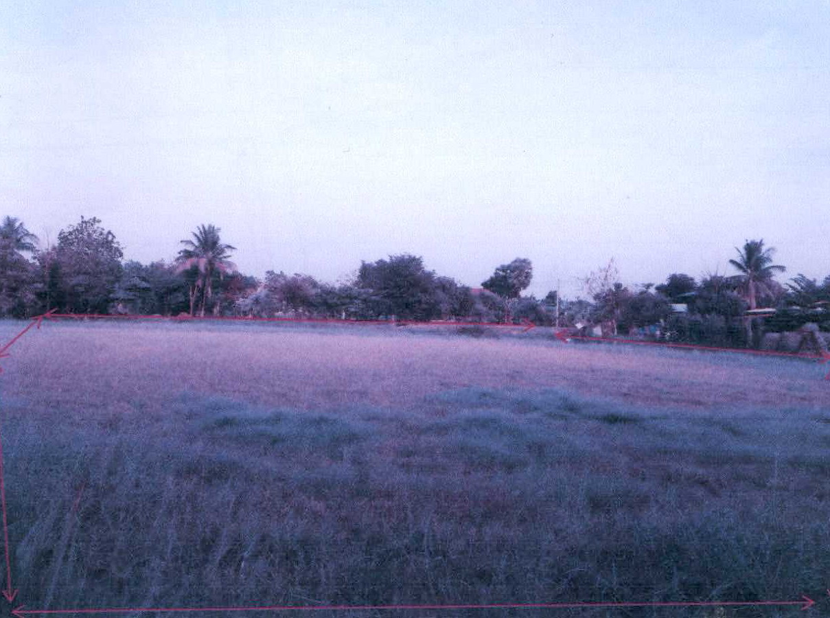 ขายทอดตลาด ที่ดินว่างเปล่า จ.นครราชสีมา