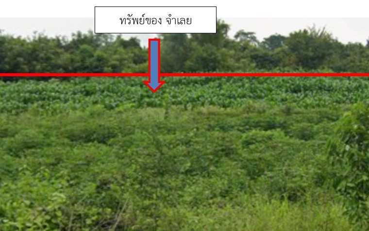 ขายทอดตลาด ที่ดินว่างเปล่า ต.พุดซา อ.เมืองนครราชสีมา จ.นครราชสีมา