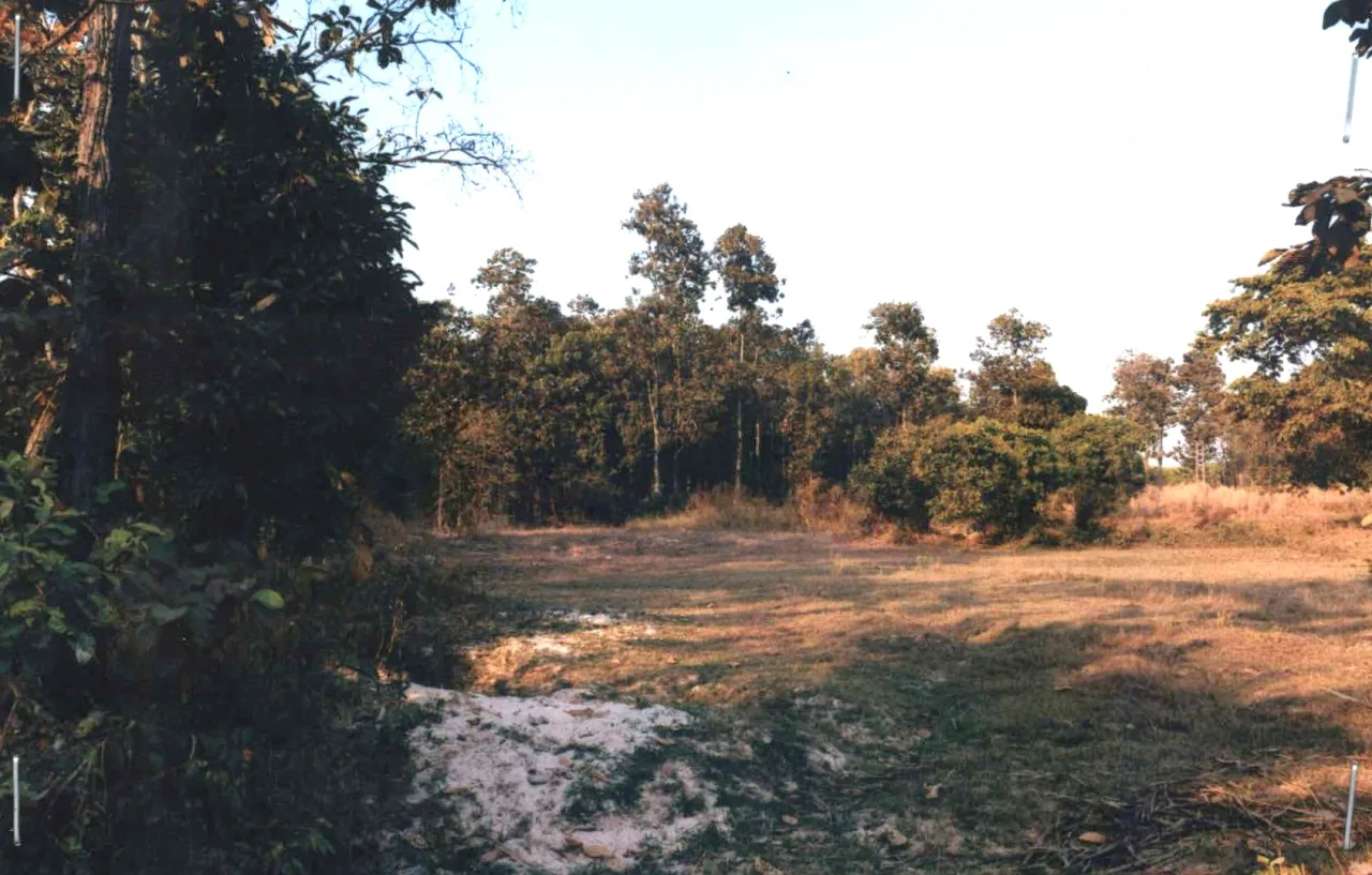 ขายทอดตลาด ที่ดินว่างเปล่า ต.แซงบาดาล อ.สมเด็จ จ.กาฬสินธุ์