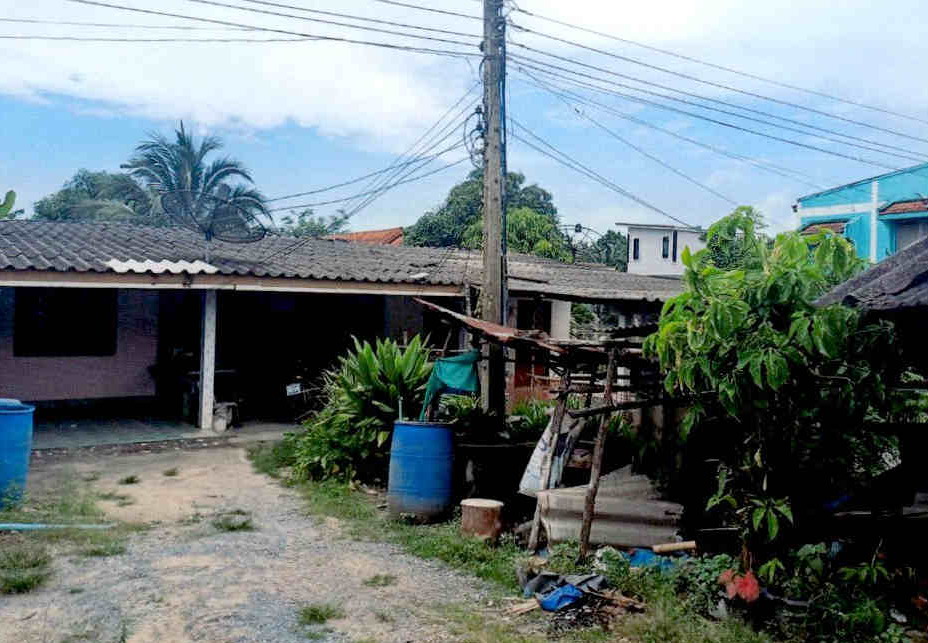 ขายทอดตลาด ที่ดินพร้อมสิ่งปลูกสร้าง ต.คลองพน อ.คลองท่อม จ.กระบี่