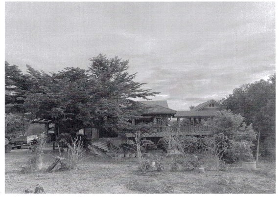 ขายทอดตลาด ที่ดินพร้อมสิ่งปลูกสร้าง ต.โกสัมพี อ.โกสัมพีนคร จ.กำแพงเพชร