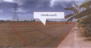 รูปทรัพย์ 2