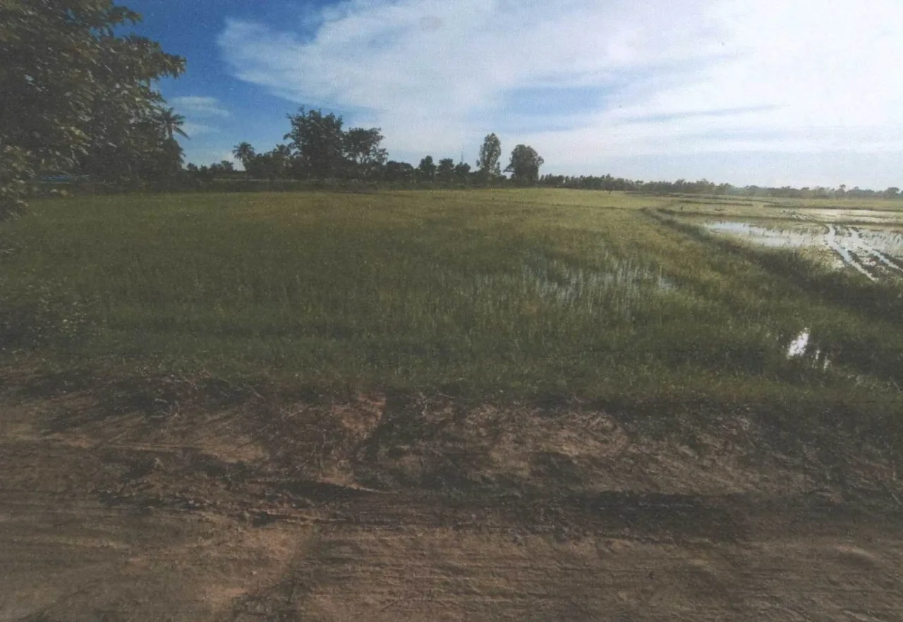 ขายทอดตลาด ที่ดินว่างเปล่า ต.หลุบ อ.เมืองกาฬสินธุ์ จ.กาฬสินธุ์