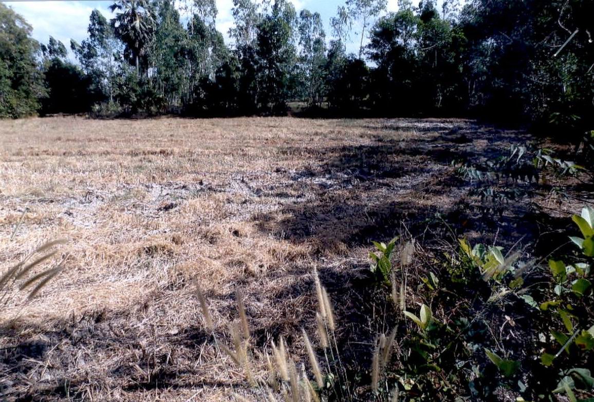 ขายทอดตลาด ที่ดินว่างเปล่า ต.บุฝ้าย อ.ประจันตคาม จ.ปราจีนบุรี