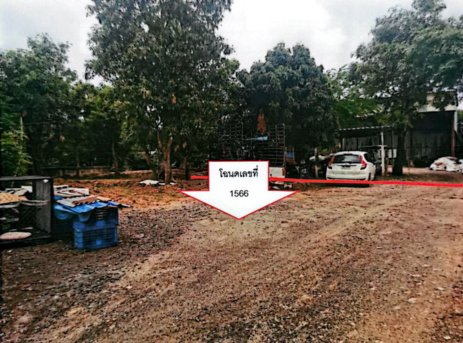 ขายทอดตลาด ที่ดินว่างเปล่า ต.โชคชัย อ.โชคชัย จ.นครราชสีมา