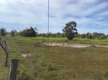 ขายทอดตลาด ที่ดินว่างเปล่า ต.สงเปลือย อ.นามน จ.กาฬสินธุ์