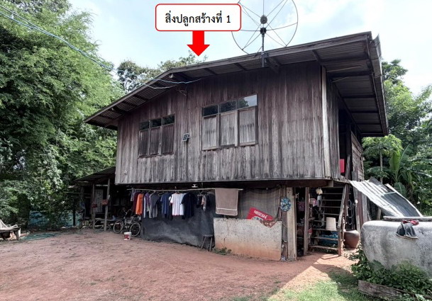 ขายทอดตลาด ที่ดินพร้อมสิ่งปลูกสร้าง ต.ขามเฒ่า อ.โนนสูง จ.นครราชสีมา