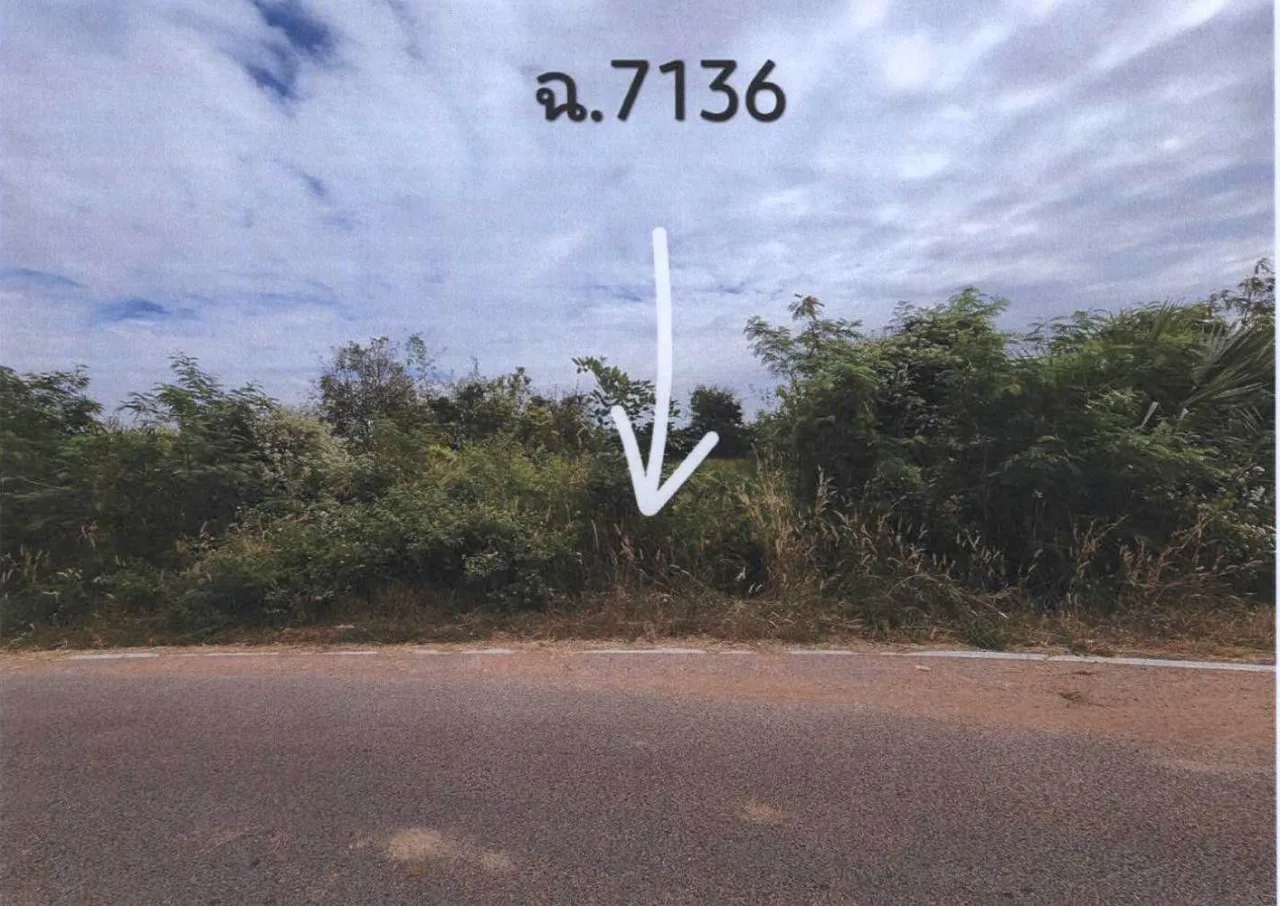 ขายทอดตลาด ที่ดินว่างเปล่า จ.นครราชสีมา