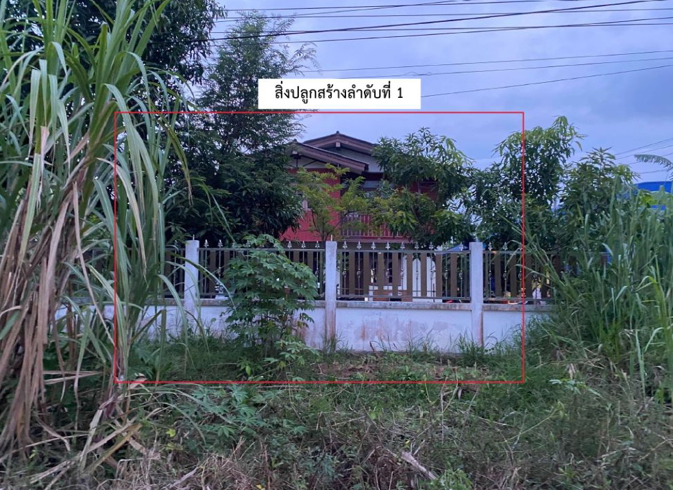 ขายทอดตลาด ที่ดินพร้อมสิ่งปลูกสร้าง ต.ท่าเยี่ยม อ.โชคชัย จ.นครราชสีมา