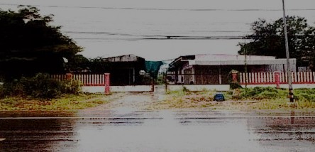 ขายทอดตลาด ที่ดินพร้อมสิ่งปลูกสร้าง ต.ท่ามะเขือ อ.คลองขลุง จ.กำแพงเพชร