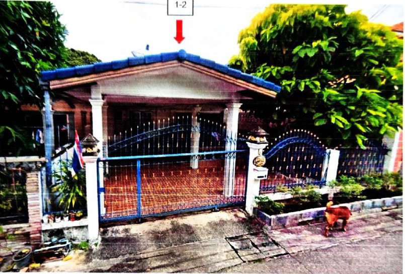 ขายทอดตลาด ที่ดินพร้อมสิ่งปลูกสร้าง ต.หนองจะบก อ.เมืองนครราชสีมา จ.นครราชสีมา