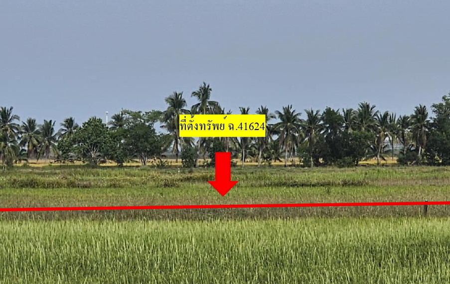 ขายทอดตลาด ที่ดินว่างเปล่า ต.ศรีษะกระบือ อ.องครักษ์ จ.นครนายก