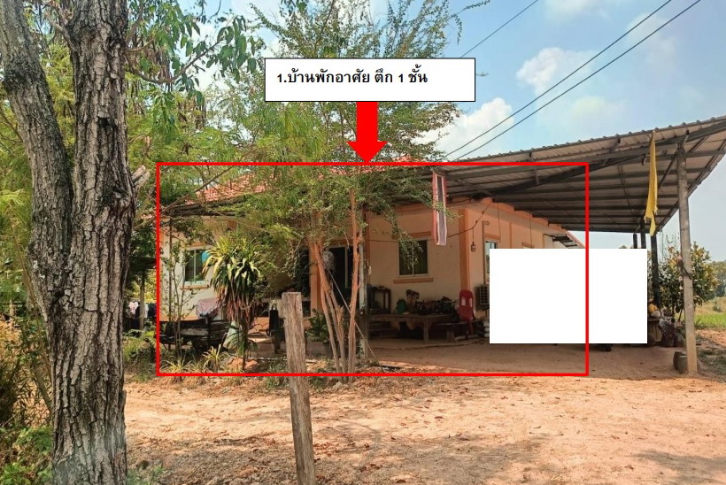 ขายทอดตลาด ที่ดินพร้อมสิ่งปลูกสร้าง ต.ค้างพลู อ.โนนไทย จ.นครราชสีมา