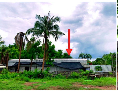 ขายทอดตลาด ที่ดินพร้อมสิ่งปลูกสร้าง ต.โคกปีบ อ.ศรีมโหสถ จ.ปราจีนบุรี