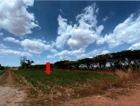 ขายทอดตลาด ที่ดินว่างเปล่า ต.นามะเขือ อ.สหัสขันธ์ จ.กาฬสินธุ์