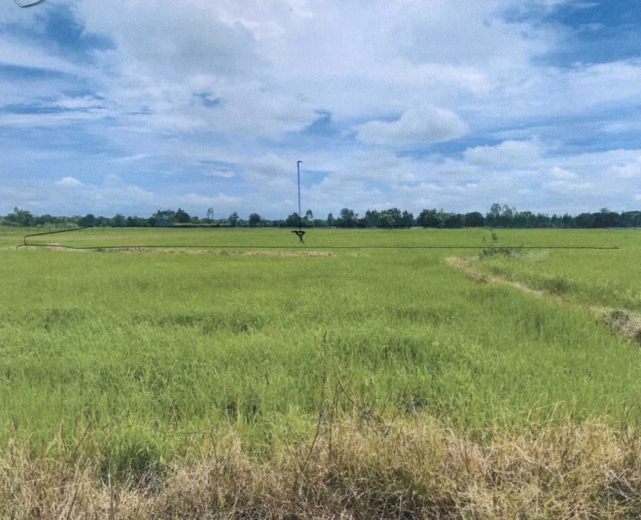 ขายทอดตลาด ที่ดินว่างเปล่า จ.ปราจีนบุรี