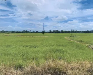 รูปทรัพย์ 1