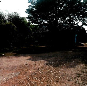 ขายทอดตลาด ที่ดินพร้อมสิ่งปลูกสร้าง ต.นครชุม อ.เมืองกำแพงเพชร จ.กำแพงเพชร