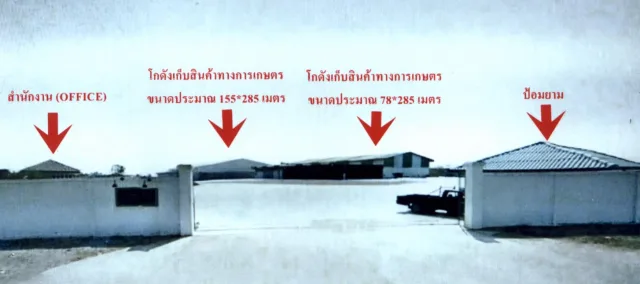 ขายทอดตลาด ที่ดินพร้อมสิ่งปลูกสร้าง ต.อ่างทอง อ.เมืองกำแพงเพชร จ.กำแพงเพชร