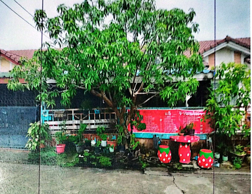 ขายทอดตลาด ที่ดินพร้อมสิ่งปลูกสร้าง ต.บ้านใหม่ อ.บางใหญ่ จ.นนทบุรี