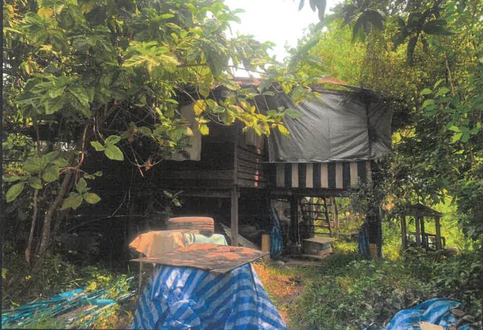 ขายทอดตลาด ที่ดินพร้อมสิ่งปลูกสร้าง ต.บ้านใหญ่ อ.เมืองนครนายก จ.นครนายก