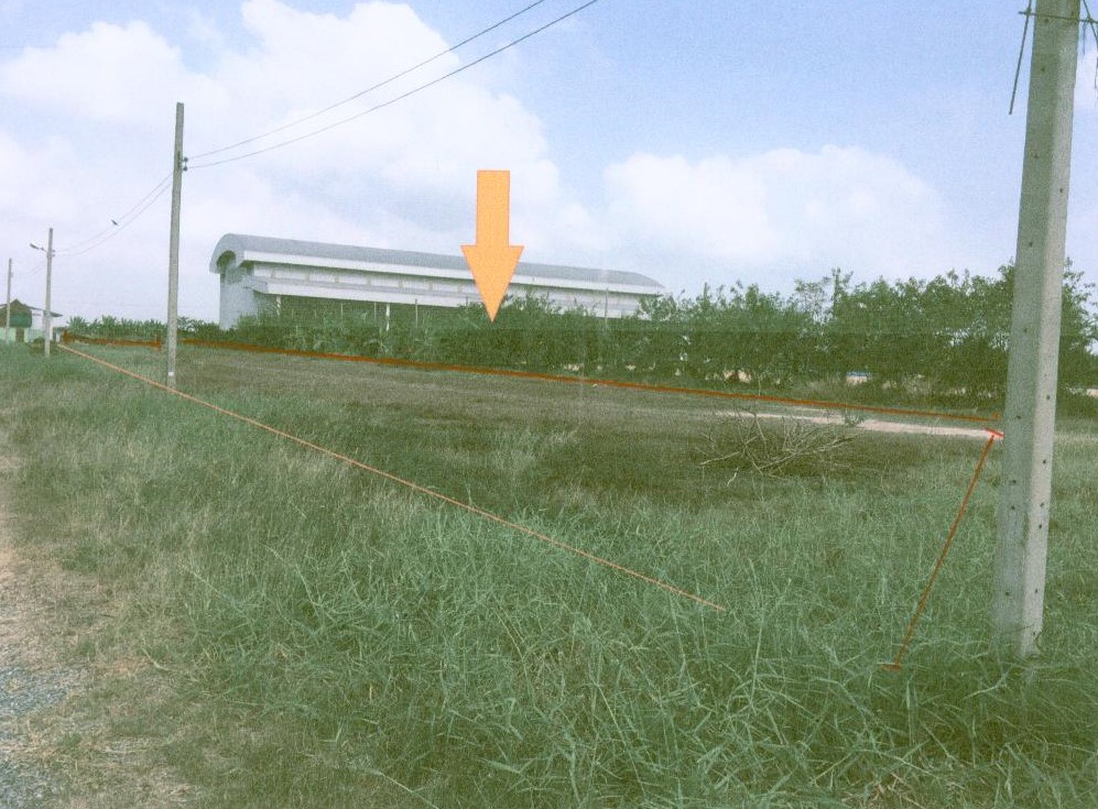ขายทอดตลาด ที่ดินว่างเปล่า ต.ไทรน้อย อ.ไทรน้อย จ.นนทบุรี