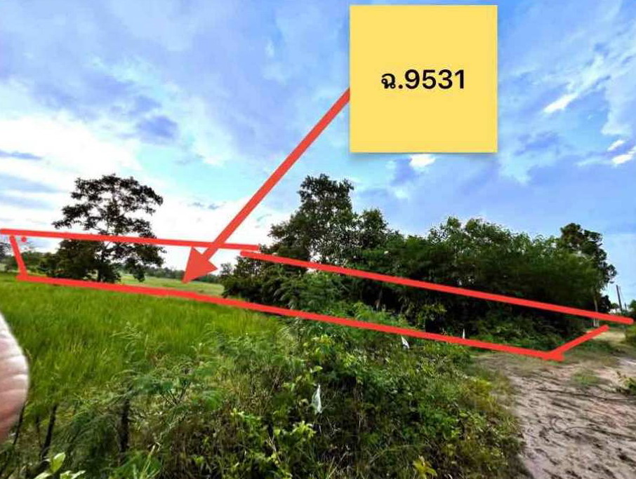 ขายทอดตลาด ที่ดินว่างเปล่า ต.สระพระ อ.พระทองคำ จ.นครราชสีมา