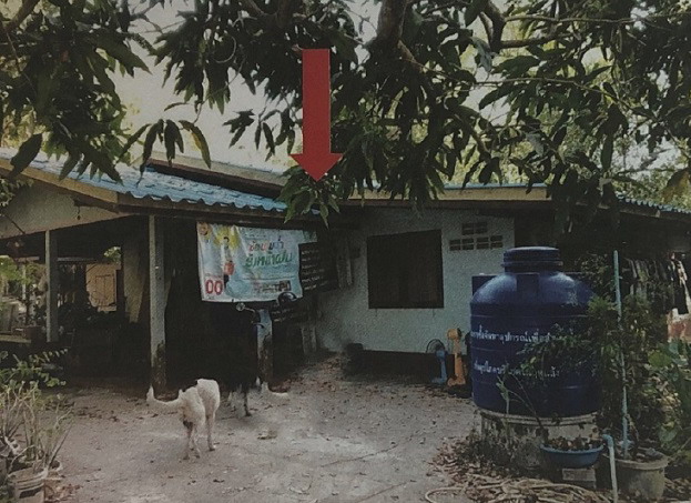 ขายทอดตลาด ที่ดินพร้อมสิ่งปลูกสร้าง ต.โนนห้อม อ.เมืองปราจีนบุรี จ.ปราจีนบุรี