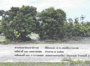 ขายทอดตลาด ที่ดินว่างเปล่า ต.โคกเคียน อ.เมืองนราธิวาส จ.นราธิวาส