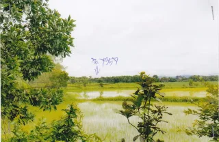 รูปทรัพย์ 1