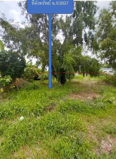 ขายทอดตลาด ที่ดินว่างเปล่า ต.ศีรษะกระบือ อ.องครักษ์ จ.นครนายก