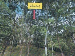 รูปทรัพย์ 2