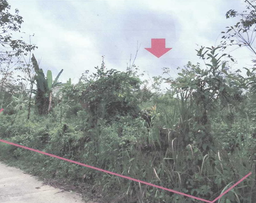 ขายทอดตลาด ที่ดินว่างเปล่า ต.บาตง อ.รือเสาะ จ.นราธิวาส